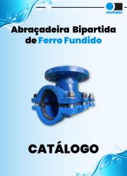 Capa-Conexao-Ferro_Bipartida